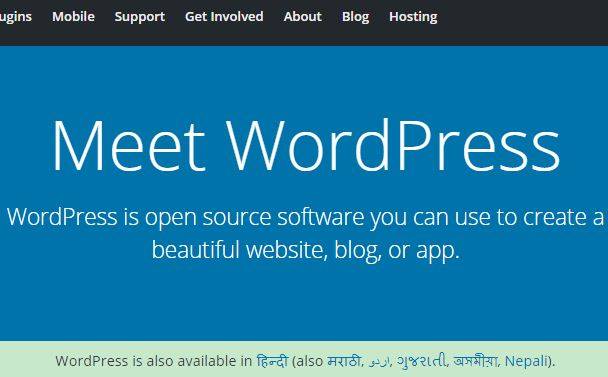 WordPress Coupon Code
